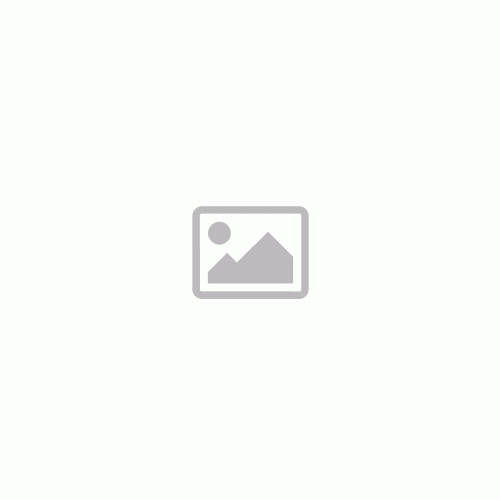 Törpe széleslevelű ezüstfa - Elaeagnus ebbingei ’Compacta’ - Konténeres